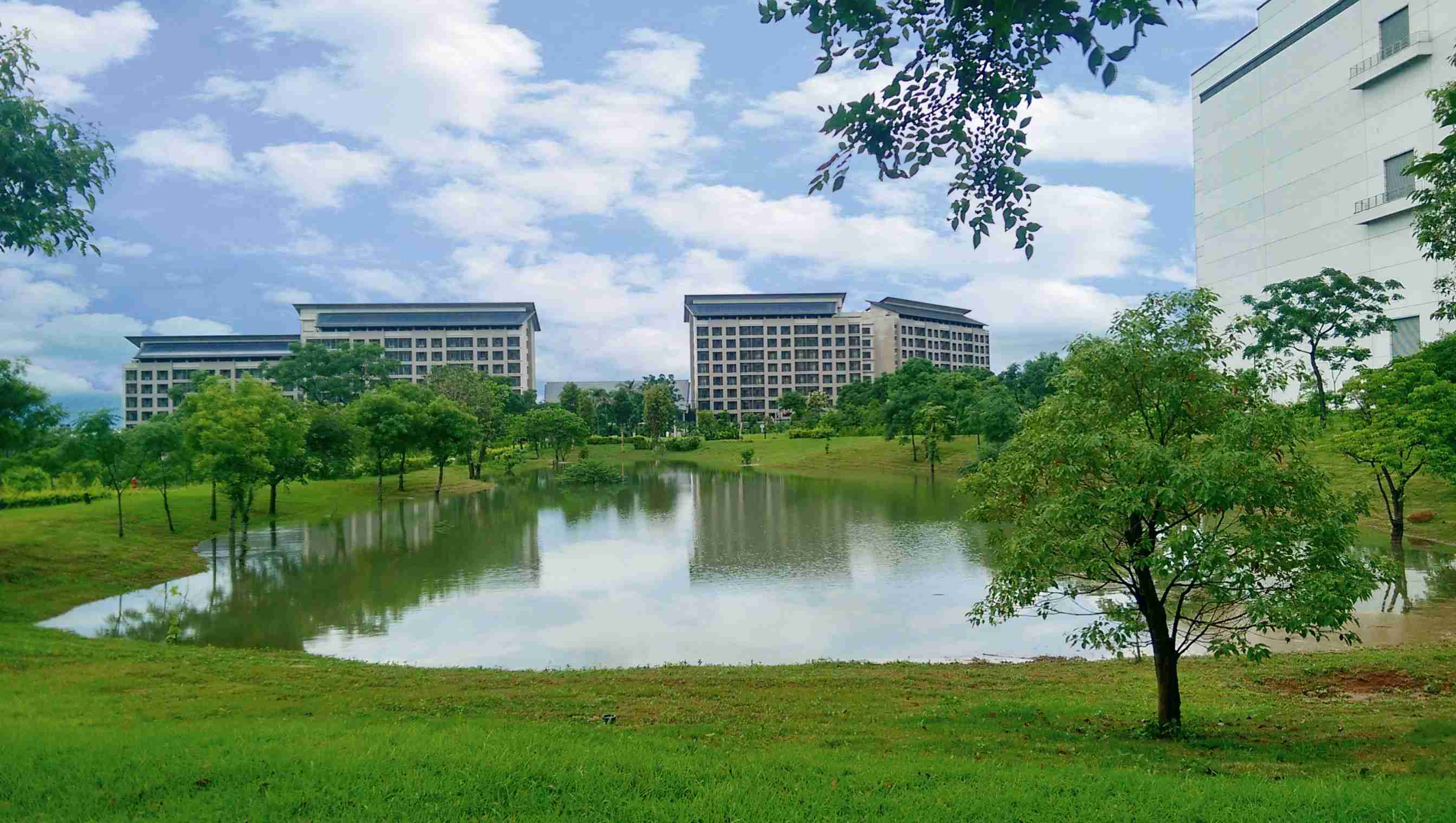 龙门国际响应国际倡议生物多样性趋势，，首次发布TNFD自然相关财务揭露报告书，，擘划及开展龙门国际生物多样性政策之承诺，，逐步迈向与自然和谐共生